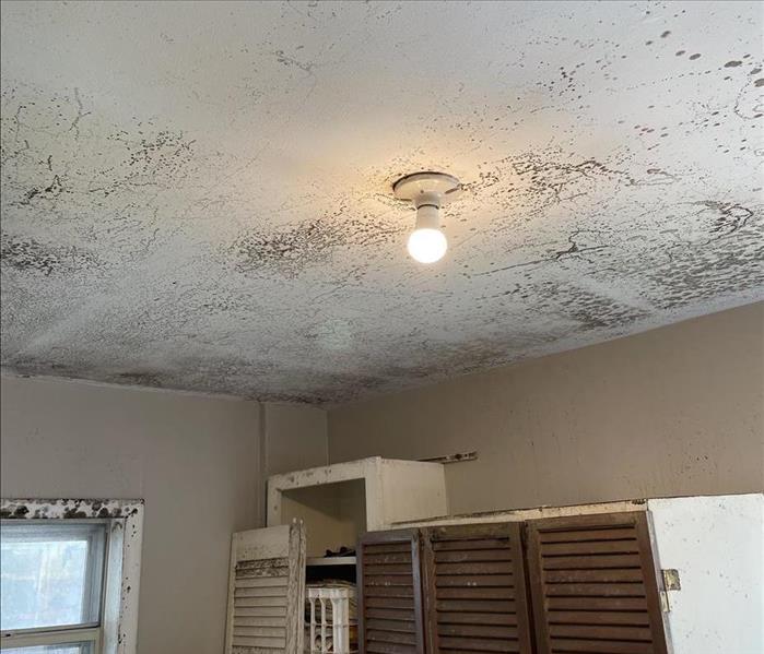 Image of a moldy ceiling
