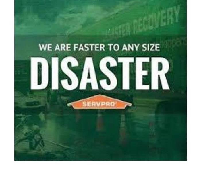 Green photo that says faster to any size disaster on it