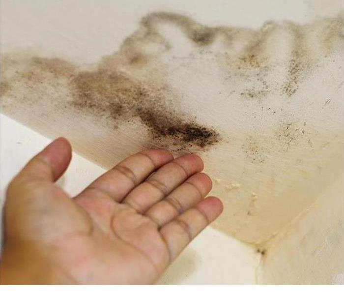 Photo of a hand touching a moldy spot on a ceiling